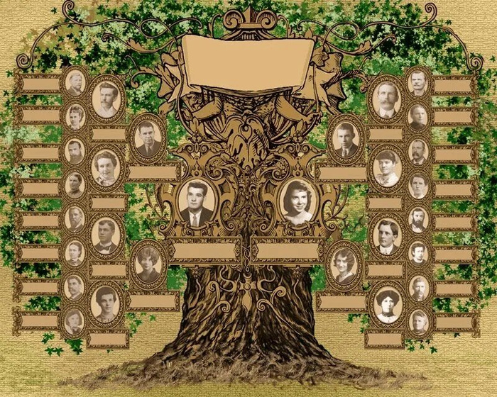 Родословная.