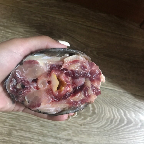 Что с карпом?можно ли кушать?
