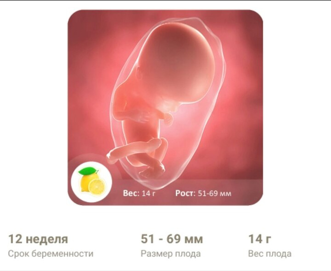 12 нелель?