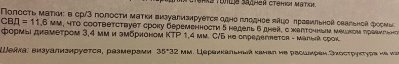 26дпп, криоперенос в ец, коричневые выделения