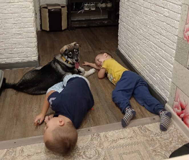 Всем привет, мы справили