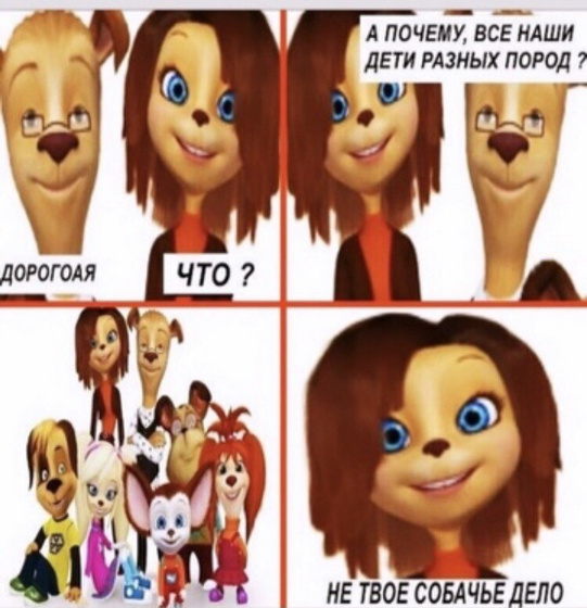 Тайна Барбоскиных