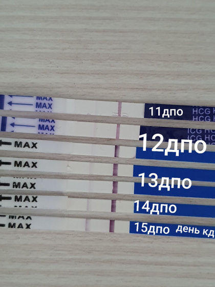 Тестики❤на память