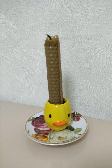 Неделя каникул