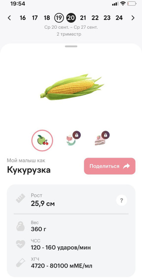 20 н е д е л е к 🤰🏼