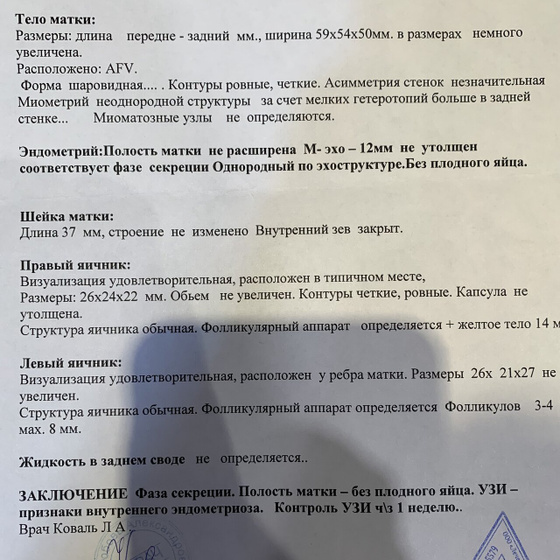 УЗИ