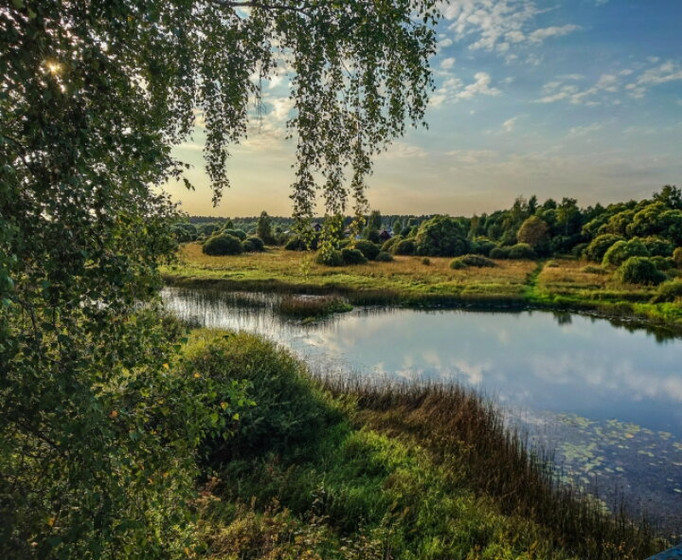 Какая боль встать в