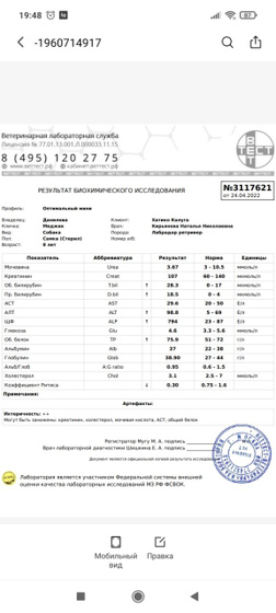 ❗Sos ❗ Девочки есть