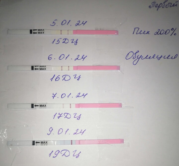 Эксперимента ради