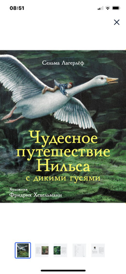Приключение Нильса