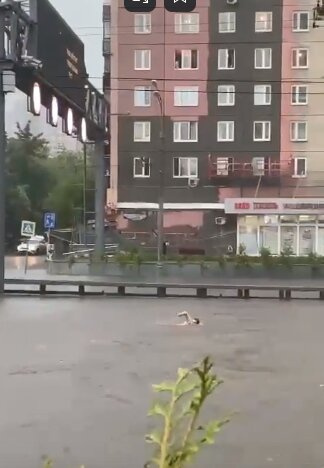 Бассейн Москва