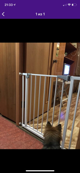 Ограничитель