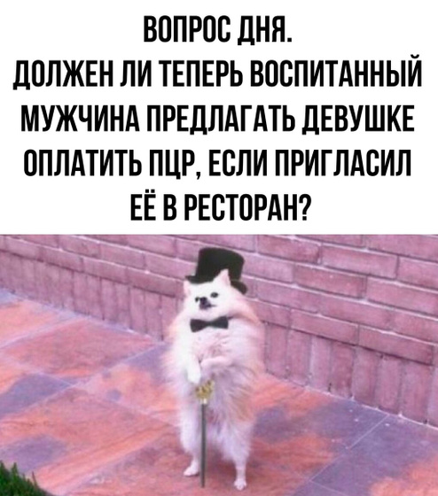 😂😂😂