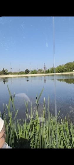 Планы на лето☀️