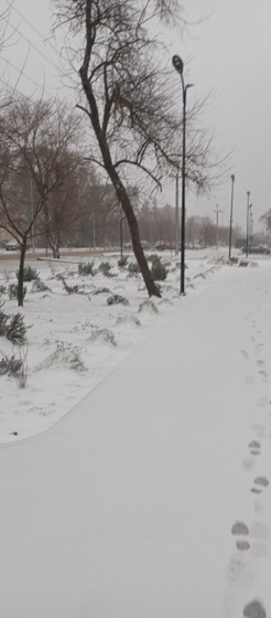 Погода❄