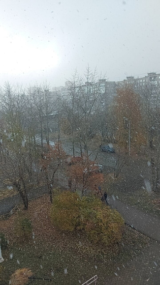 А в Перми первый