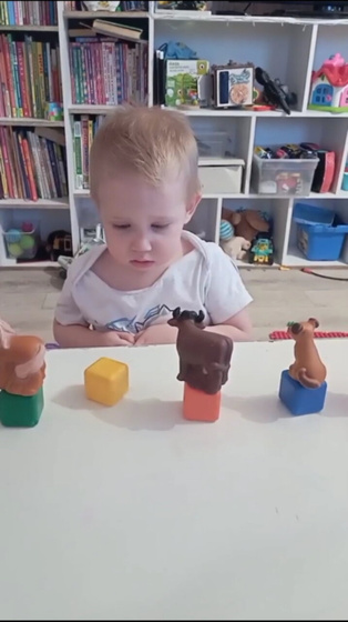 Животные на кубиках🐄