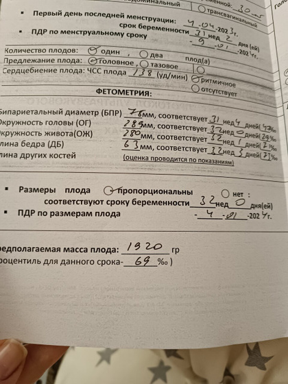 Гсд ты мой гсд
