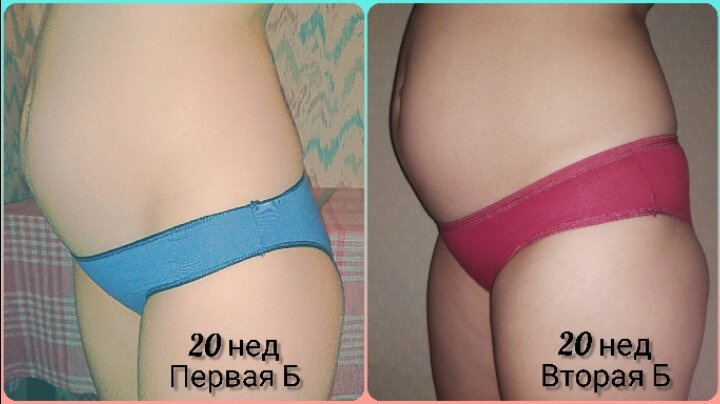 20 недель..