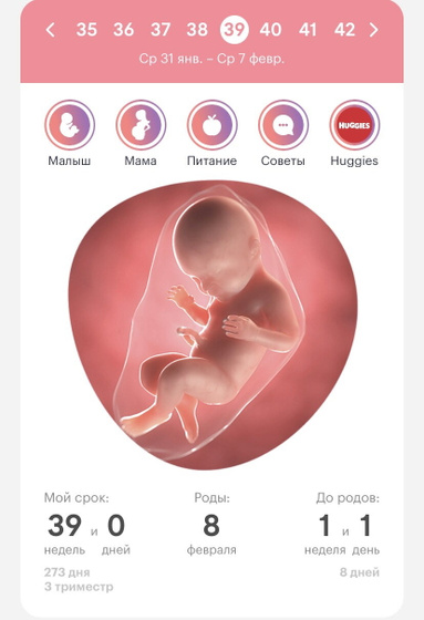 39 н е д е л е к 🤰🏼