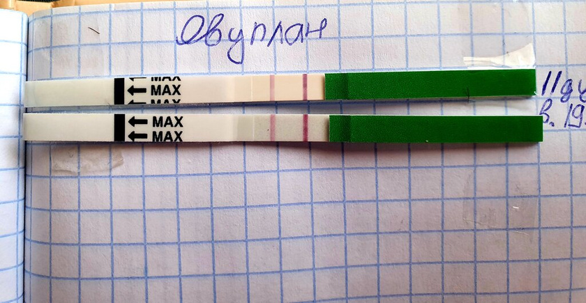 Овуплан,12 дц утро