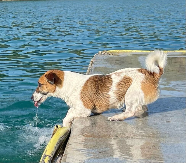Когда под боком море, то хочется на озеро.