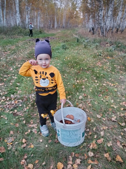 Съездили в лес