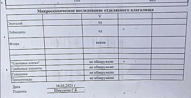Девочки, что за кокки