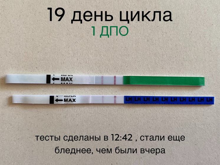 1️⃣ ДПО