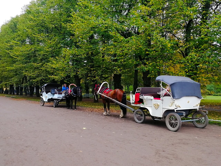 Доброе утро!!!