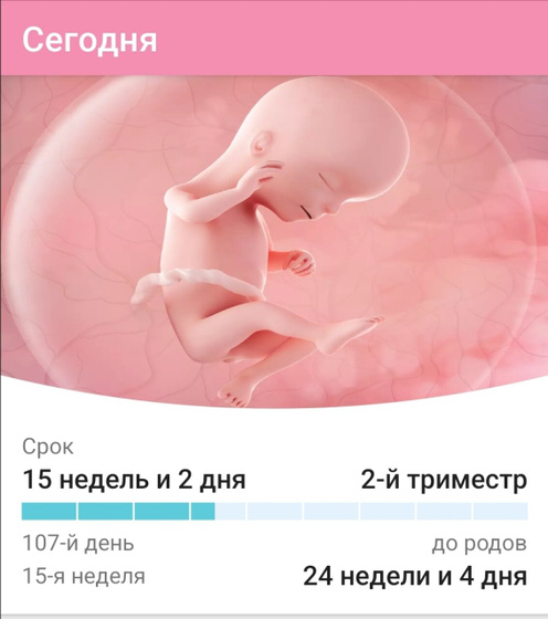 Наложили швы на шм