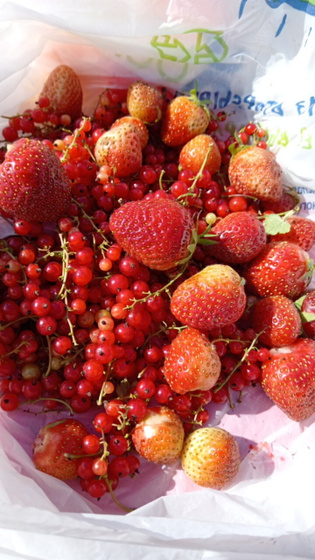 Сегодня мне 37,