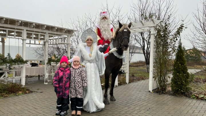 Наше новогоднее чудо для