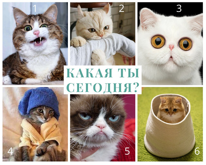 Какая ты сегодня?