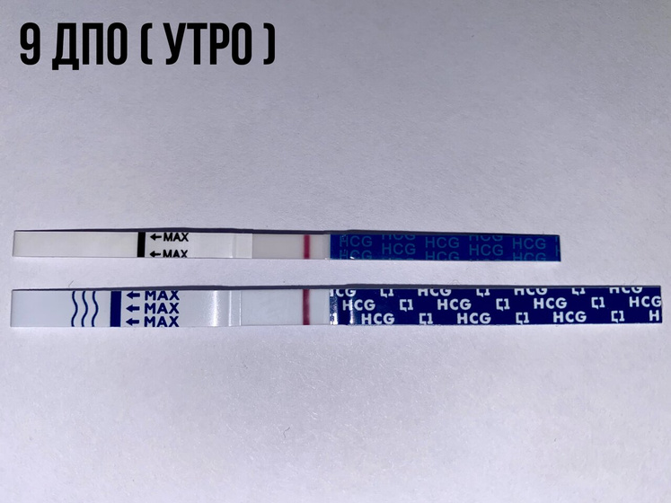9️⃣ дпо ⤵️