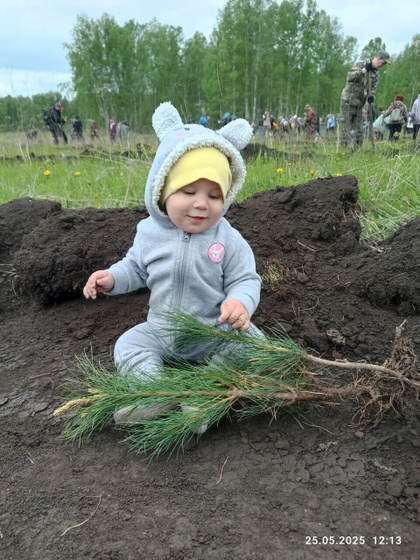 Очередное лесопосадочное