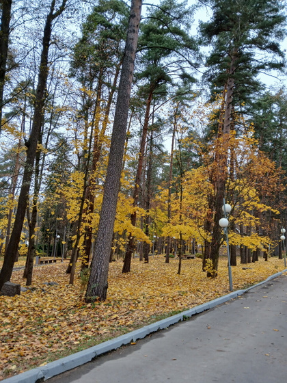 Осенние 🍂 каникулы -2.