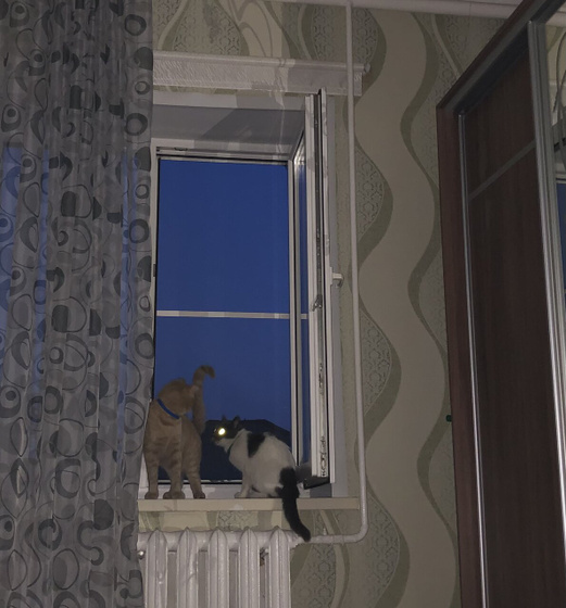 Никогда не думала, что так буду переживать за подростка