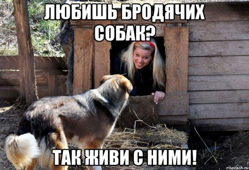 Это Псинобесие называется?