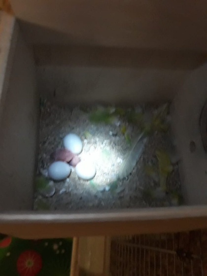Пополнение!!