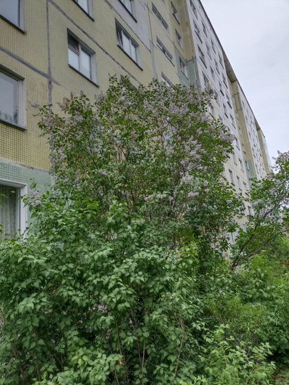 Когда название улицы 