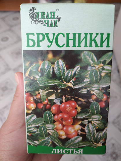Купила листья брусники чтоб