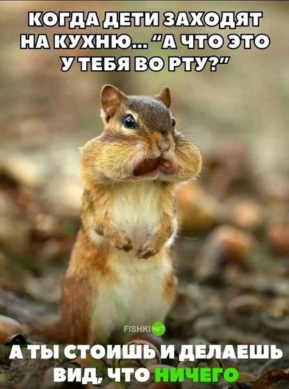 Продолжение???