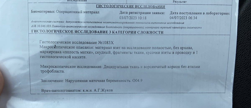 Гистология