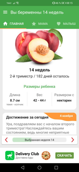 ???14 недель???