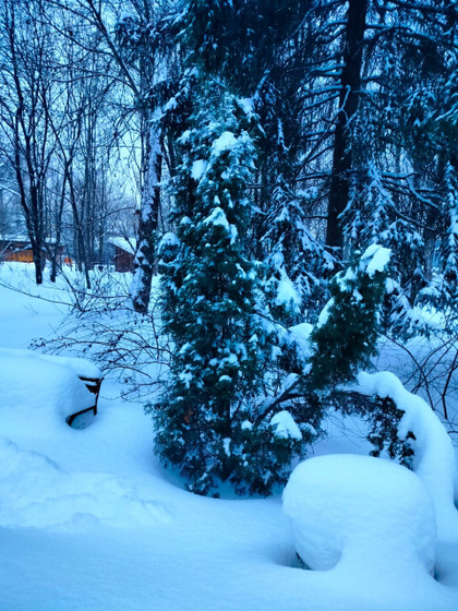 Пейзажи вокруг больницы 🌲❄️☃️
