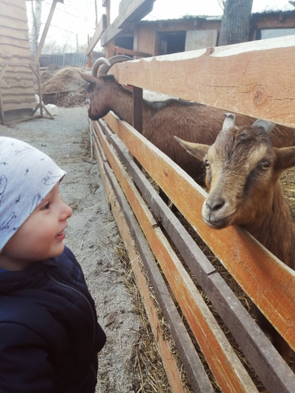 Ездили сегодня на ферму,