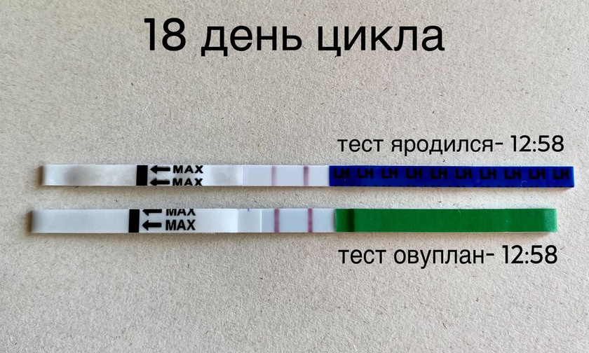 18 день цикла , 2 день яркие тесты на О