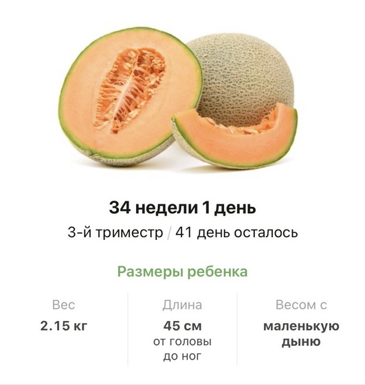 34 недели .