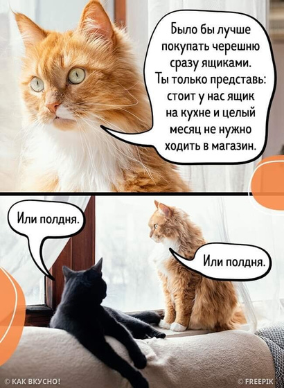 У вас тоже вкусняшки